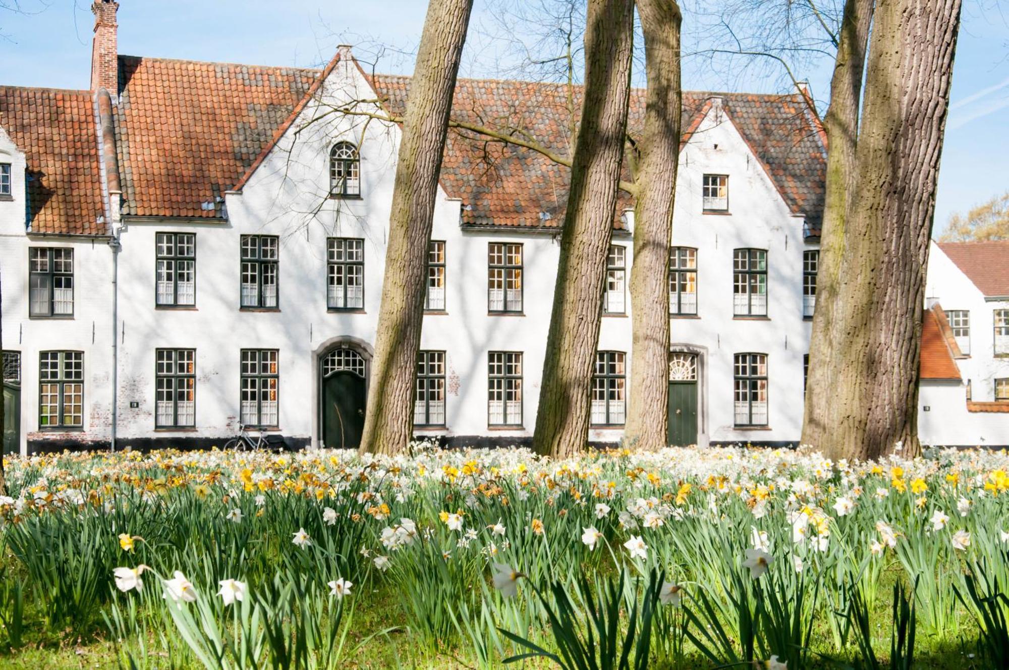 Gillis Eight By Romy&Travis Hotel Brugge Bagian luar foto